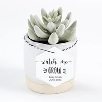 Papier cartonné blanc brillant Astrodesigns
