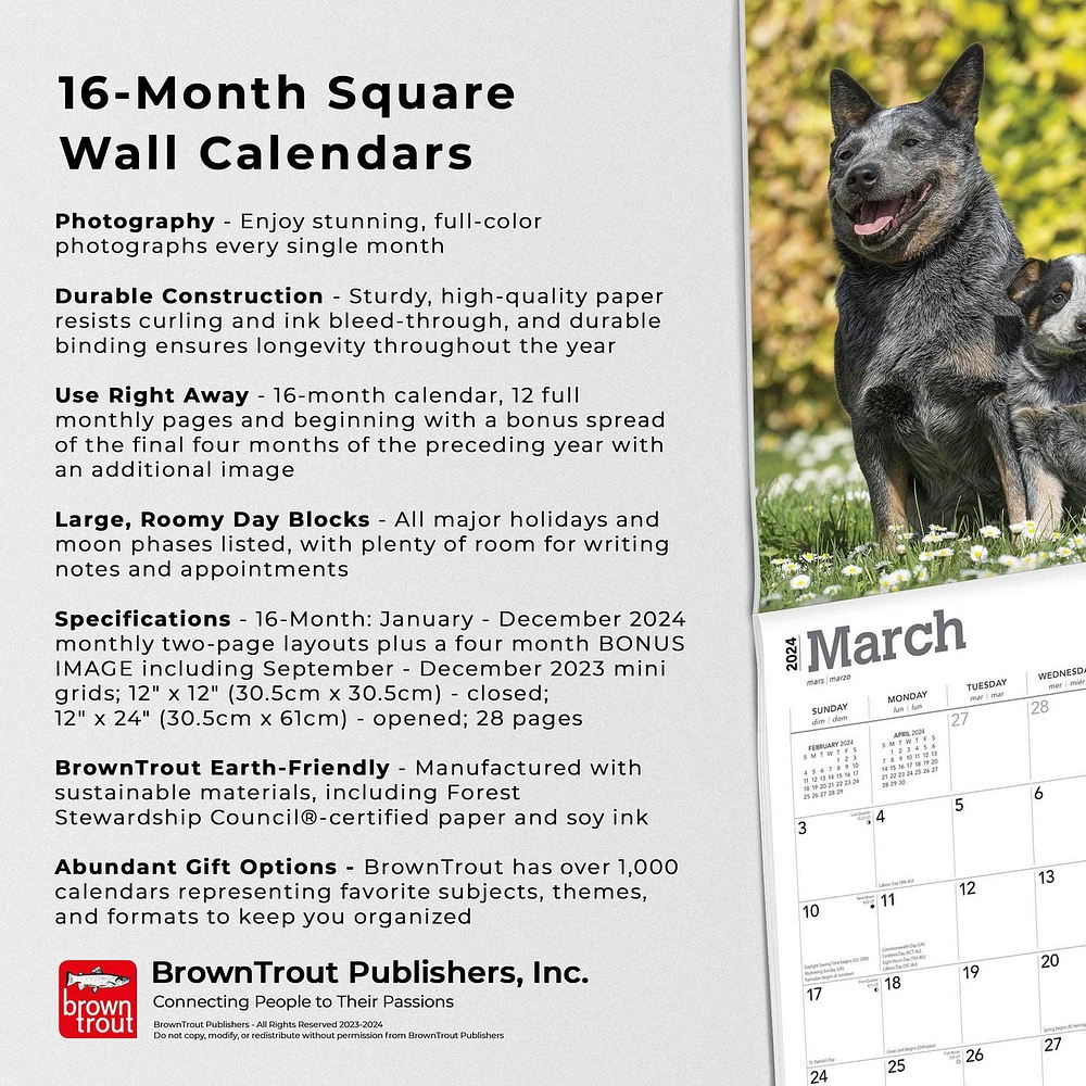 BrownTrout Blue Heelers 2024 12x24 Inch Square Wall Calendar, 9781975461836