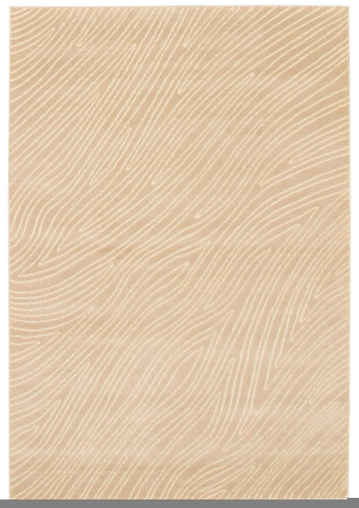 ECARPET Modern Area Rug for Dining Room, Living Room