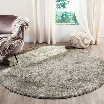 Safavieh Evoke Trena Traditional Area Rug