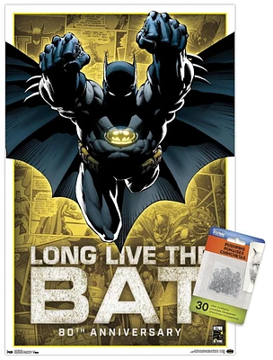 DC Comics - Batman - 80th Anniversary Wall Poster, 22.375" x 34"