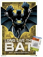 DC Comics - Batman - 80th Anniversary Wall Poster, 22.375" x 34"