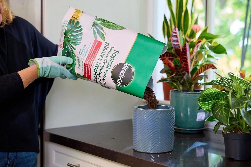 Miracle-Gro Tropical Potting Mix  8.8L, 0.08-0.03-0.06  8.8L