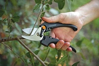 FISKARS STAINLESS STEEL PRUNER, FISKARS STAINLESS STEEL LIGHTWEIGHT PRUNER