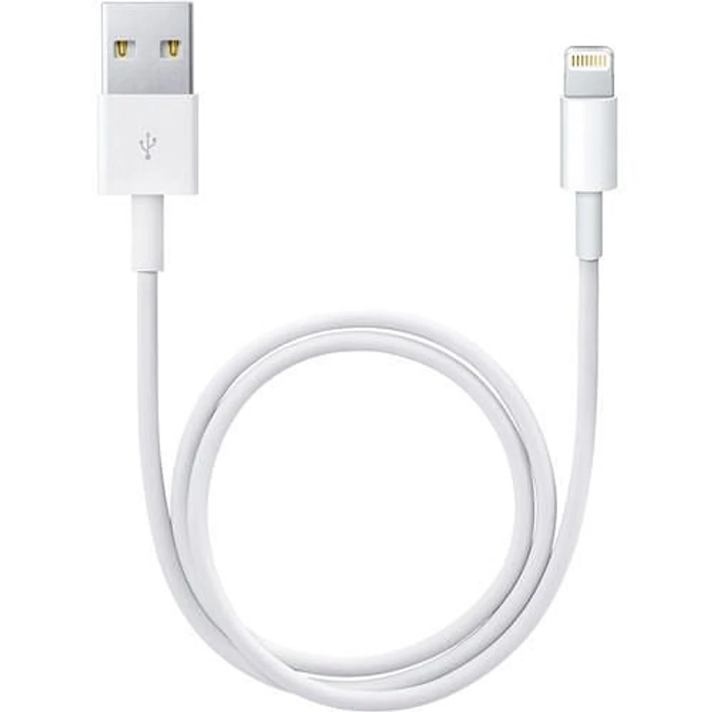 Câble de charge et de synchronisation Apple Lightning vers USB (blanc, 1,6 ')
