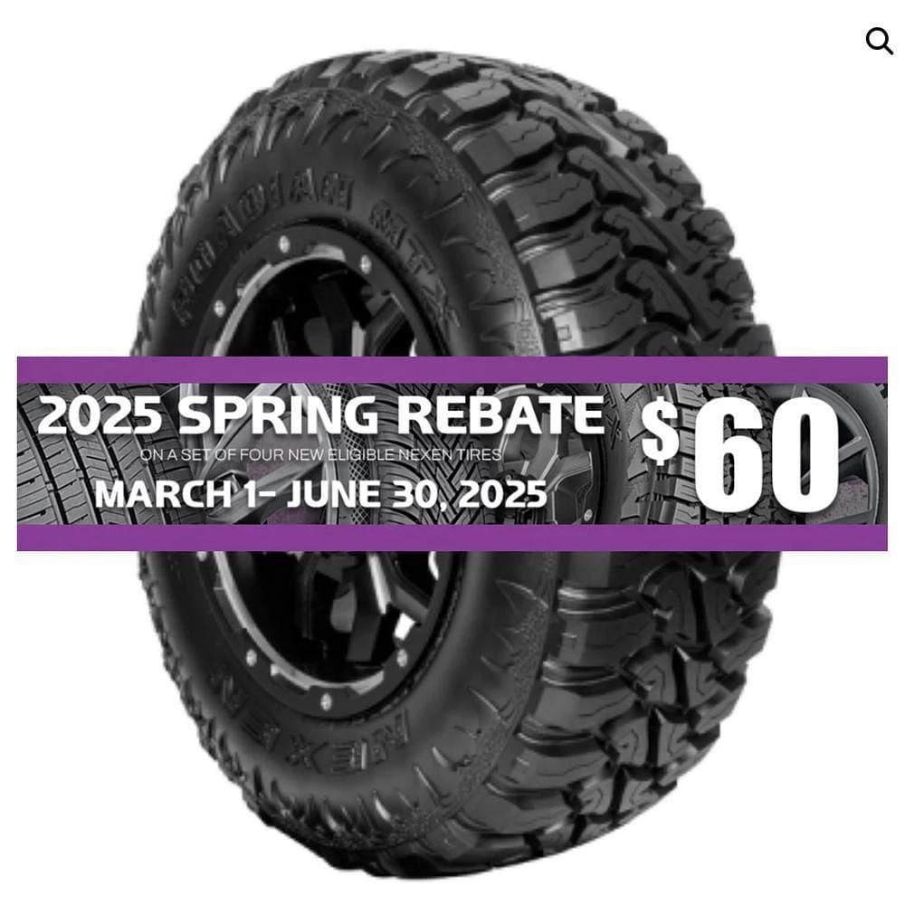 NEXEN Roadian MTX LT305/65R17 F/12PLY BSW