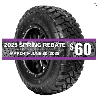 NEXEN Roadian MTX LT305/65R17 F/12PLY BSW