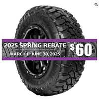 NEXEN Roadian MTX LT305/65R17 F/12PLY BSW