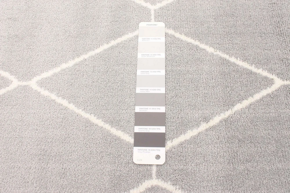 Tapis ECARPET Contemporain pour Salon, Chambre à Coucher, Salle Manger