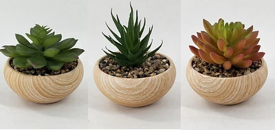 Ceramic pot with Succulents