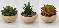 Ceramic pot with Succulents