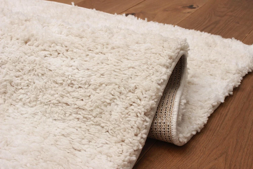ECARPET Bliss 5'0" x 8'0" Contemporary/Modern, Plush & Shags Area Rug for Living Room, Bedroom, Dining Room, Entrance, Hallway and More.