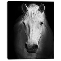 Designart White Horse Black and White Canvas Wall Art