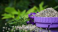Engrais pour plantes Miracle-Gro Shake n Feed Ultra Bloom - 2,04kg Fertilise jusqu'à trois mois.