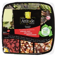 Fresh Attitude Spring Mix Salad Kit, 5.3 oz