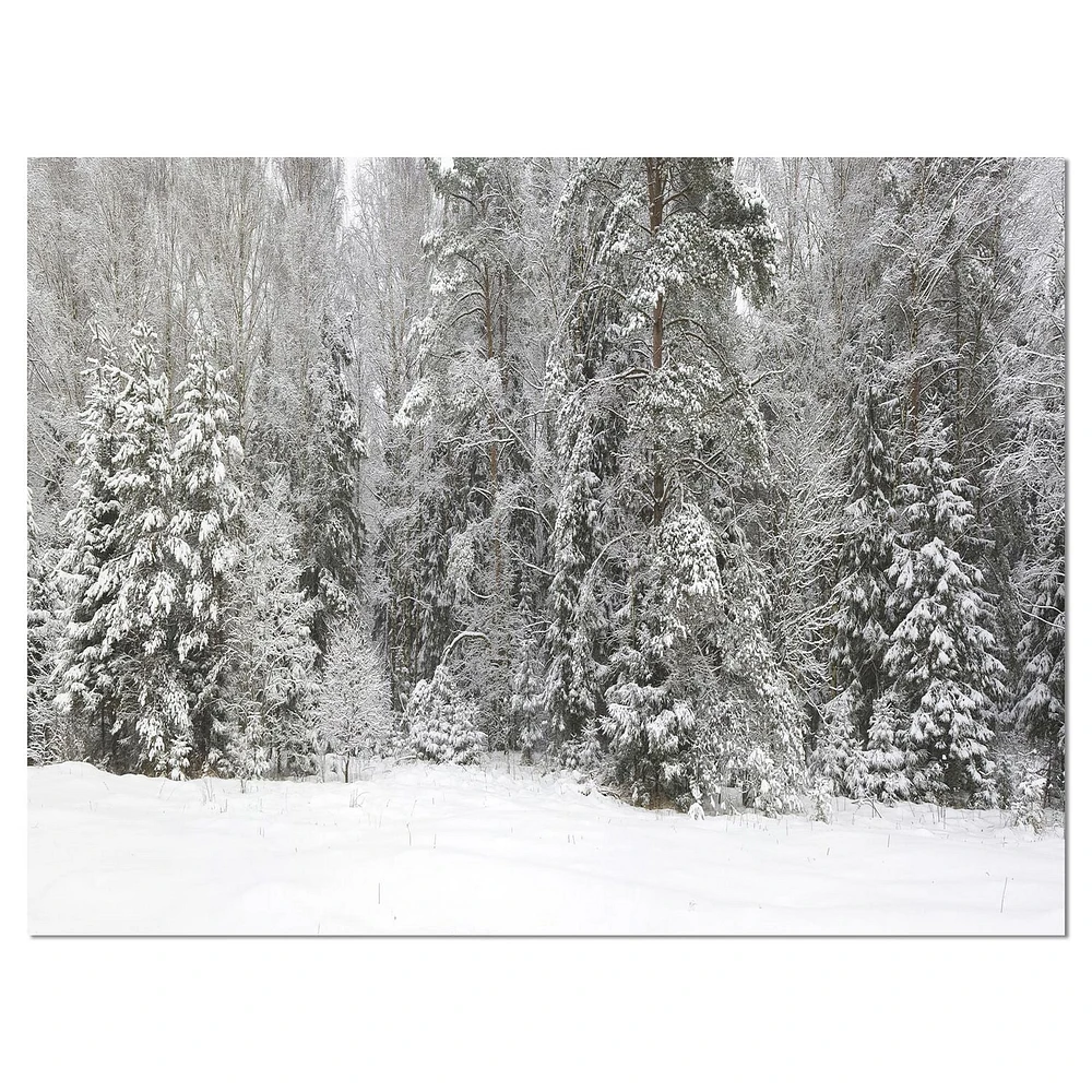 Designart Panorama brumeux de la forêt d'hiver Art mural sur toile
