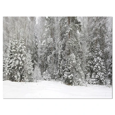 Designart Panorama brumeux de la forêt d'hiver Art mural sur toile