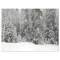 Designart Panorama brumeux de la forêt d'hiver Art mural sur toile