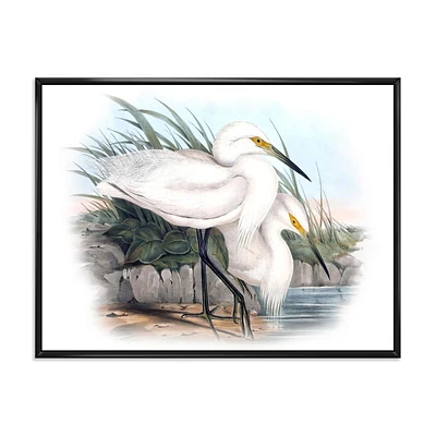 Designart Vie d'oiseau vintage I ART MURAL À CADRE FLOTTÉ