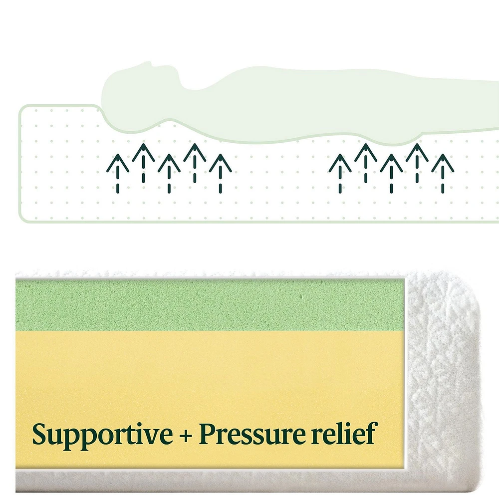 Matelas en mousse à mémoire de forme Zinus 8" Green Tea ActivFresh, Bed-in-a-Box avec emballage compact WONDERBOX, certifié CertiPUR-US