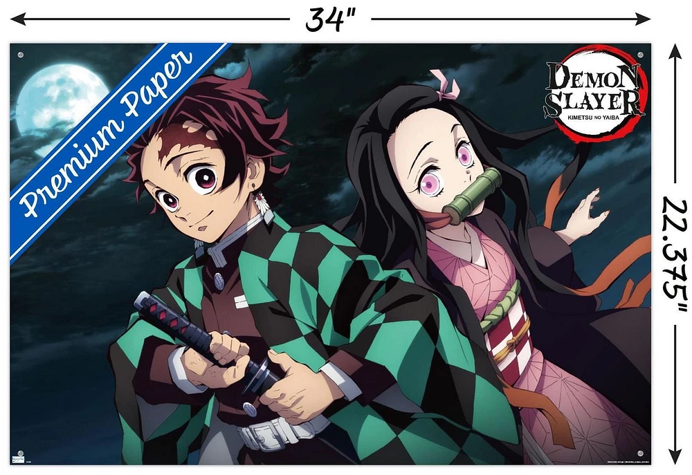 Demon Slayer - Tanjiro & Nezuko Night 22.375" x 34" Wall Poster with Push Pins, by Trends International