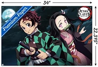 Demon Slayer - Tanjiro & Nezuko Night 22.375" x 34" Wall Poster with Push Pins, by Trends International