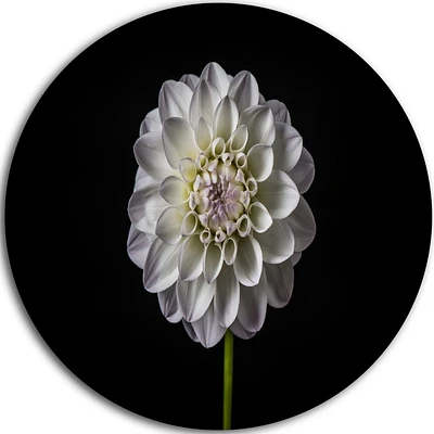 Art mural floral en métal Design Art Fleur de dahlia isolée en noir ultra brillant en cercle