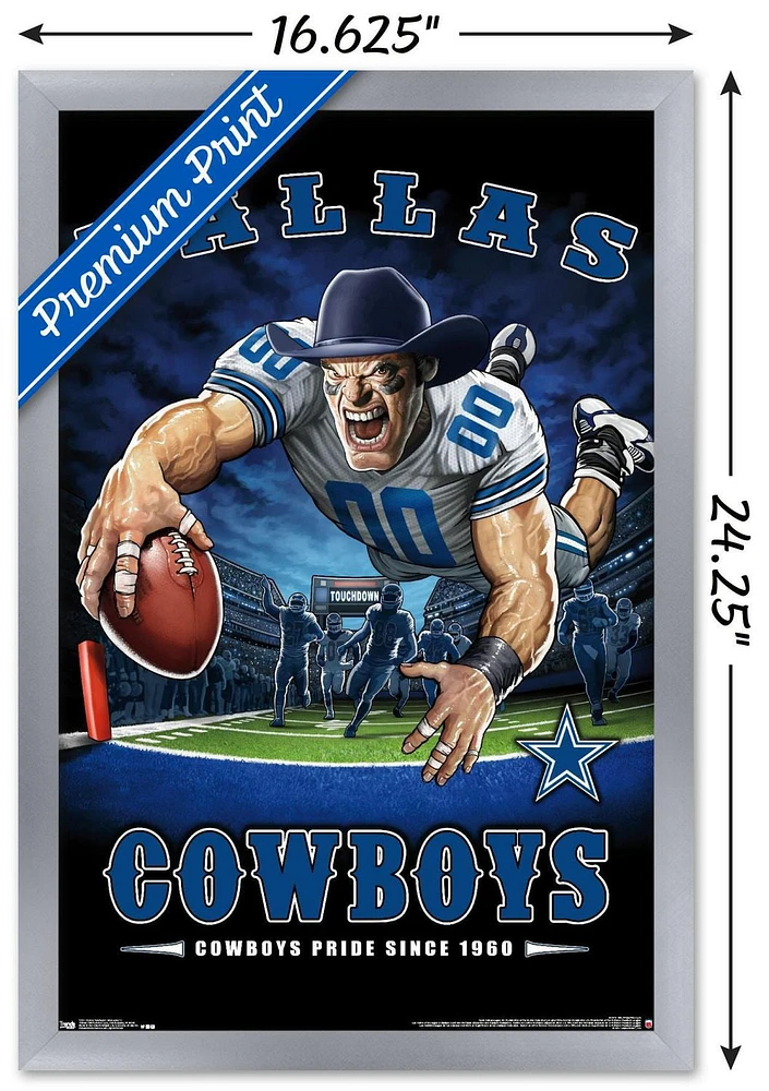 NFL Dallas Cowboys - End Zone 17 Wall Poster