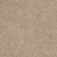 Safavieh Athens Solid Plush Shag Area Rug