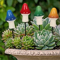 Champignons Piquet pour pot