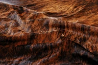 TAPIS KOBE EN PEAU DE VACHE 5' X 7