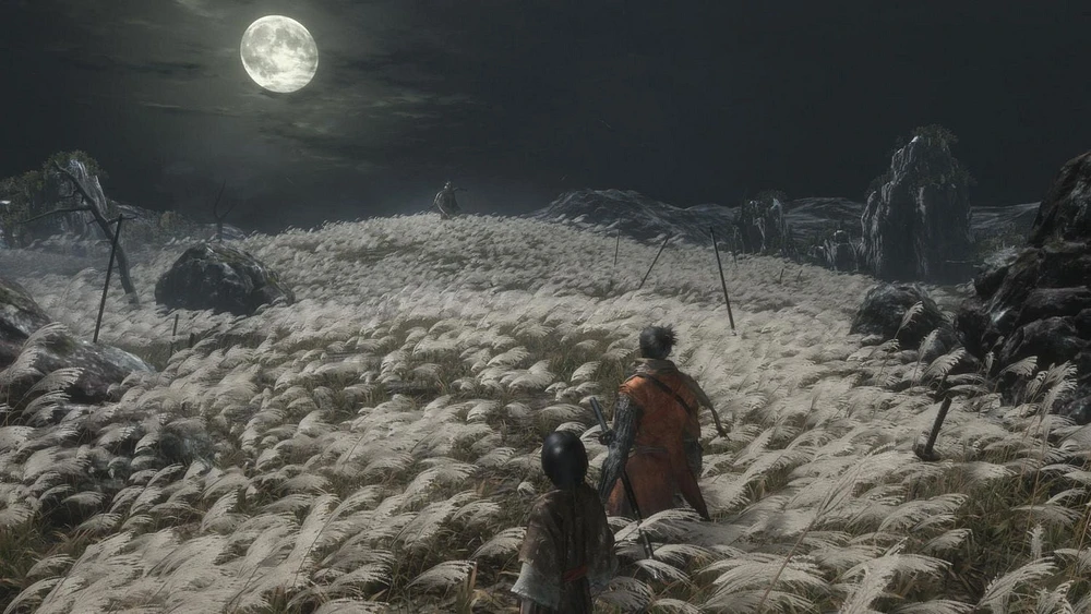 Sekiro™: Shadows Die Twice - Game of the Year Edition (PS4), PlayStation 4