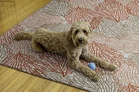 Tapis lavable Haylee 5 pi x 7 pi ivoire et corail