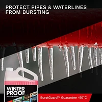 WinterProof™ - All Purpose Water System Antifreeze with BurstGuard™ Guarantee -50°C, Plumbing Antifreeze 9.46 L