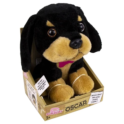 Scruffies Oscar