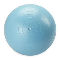 Reebok Delta ballon d'équilibre lesté de 55 cm, pompe incluse Différentes tailles disponibles