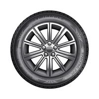 TRIANGLE SNOWLINK PL02 255/40R19 100V pneu d'hiver