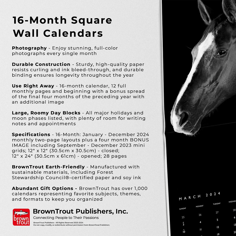 BrownTrout The BrownTrout Portrait Series: The Noble Horse 2024 12x24 Inch Square Wall Calendar, 9781975463120