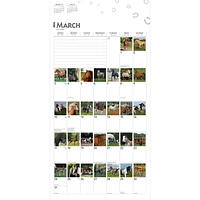 BrownTrout 366 Days of Horses 2024 12x24 Inch Square Wall Calendar, 9781975463137