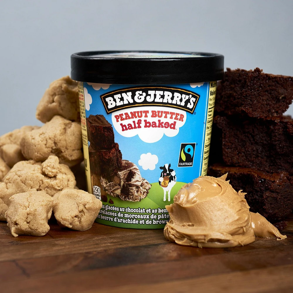 Ben & Jerry's Peanut Butter Half Baked Ice Cream