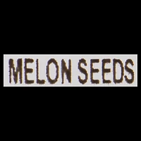 GRAINES DE MELON Est couramment utilisé dans la cuisine indienne