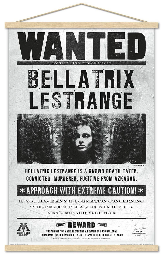 The Wizarding World: Harry Potter - Bellatrix Wanted Poster Wall Poster, 14.725" x 22.375"