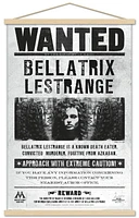 The Wizarding World: Harry Potter - Bellatrix Wanted Poster Wall Poster, 14.725" x 22.375"