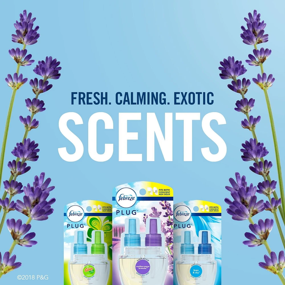 Febreze Plug Air Freshener Scented Oil Refill, Mediterranean Lavender
