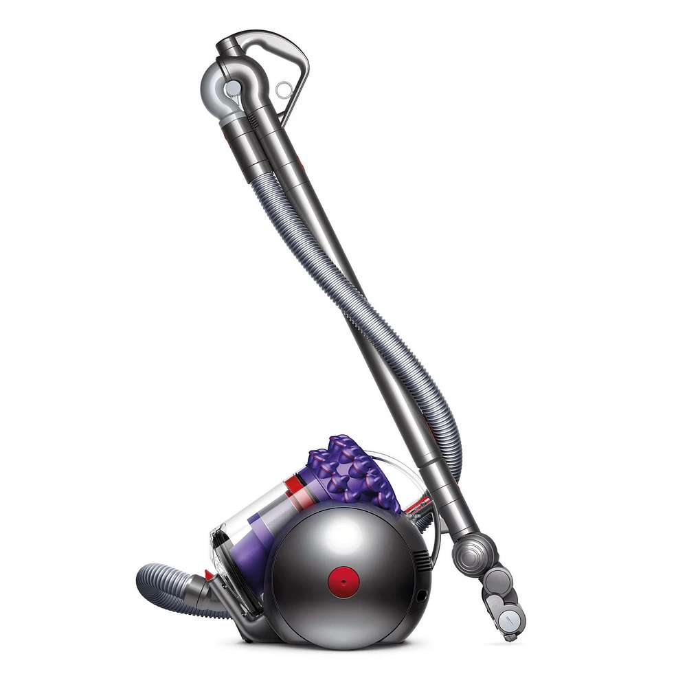 Dyson Cinetic Big Ball Animal Pro