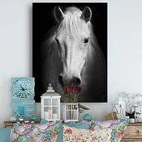 Designart White Horse Black and White Canvas Wall Art