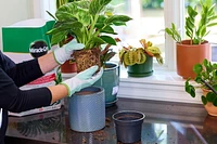 Miracle-Gro Tropical Potting Mix  8.8L, 0.08-0.03-0.06  8.8L