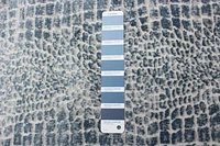 Tapis ECARPET Talia Bleu