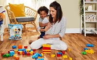 Mega Bloks First Builders Big Building Bag (80 Pieces