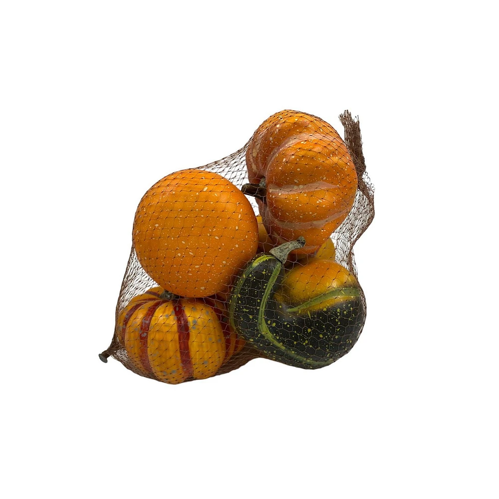 Way to Celebrate Orange & Green Baged Mini Pumpkin and Gourde 5pc